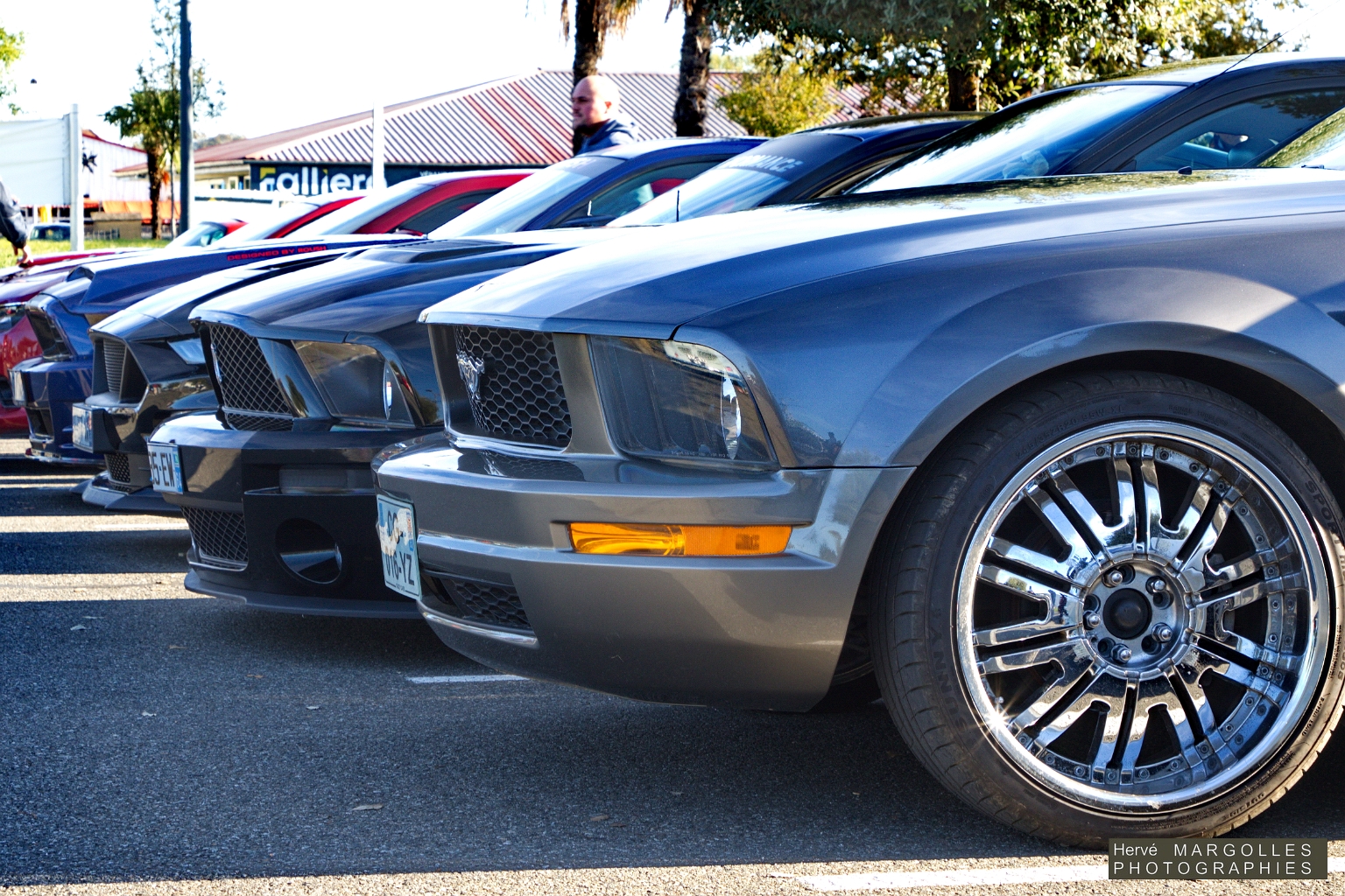 Ford Mustang_01.jpg